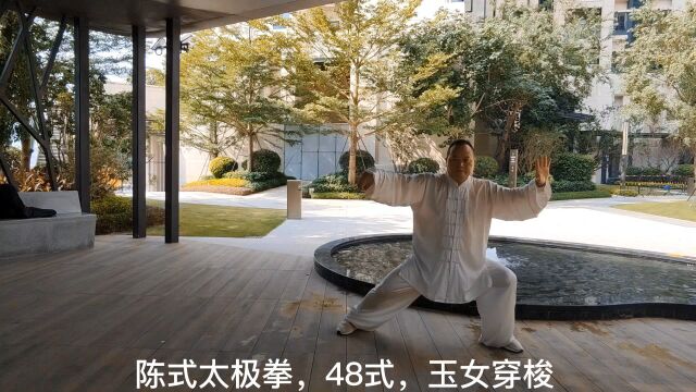 陈式太极拳,48式,玉女穿梭