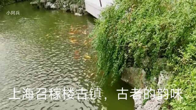 上海召稼楼古镇,古老的韵味