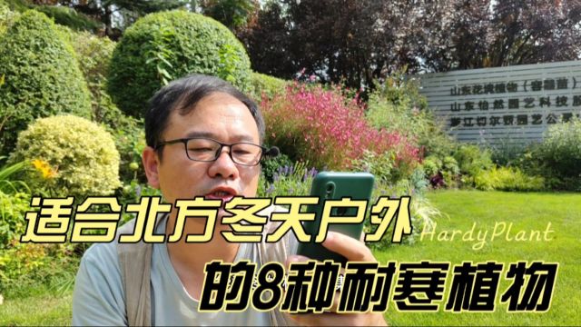 8种耐寒植物,适合北方庭院,冬天不怕冻,搭配起来很美