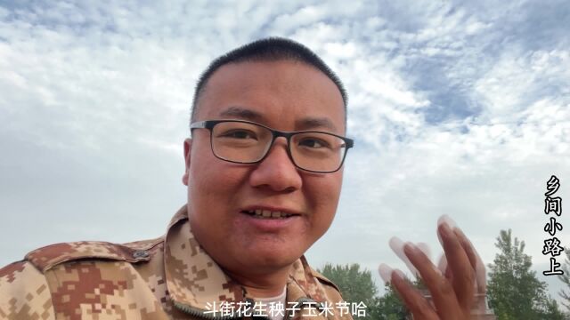 农村小伙给羊收集冬天的草,不要钱都是免费,只要好好干就有收获