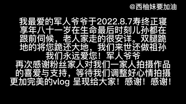 西柚妹道出停更作品的原因,因为爷爷去往天堂,所以无暇拍摄作品