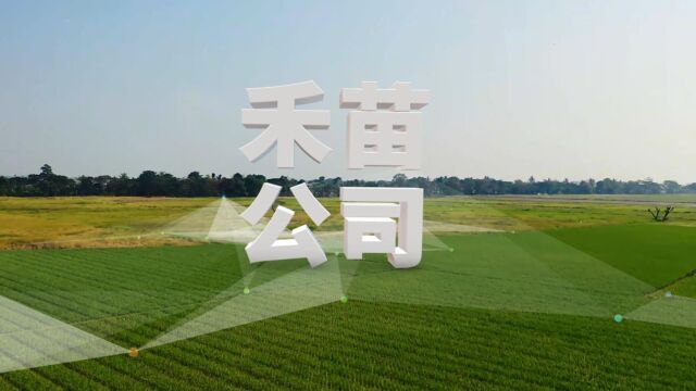 禾苗公司宣传片(2022科研版)