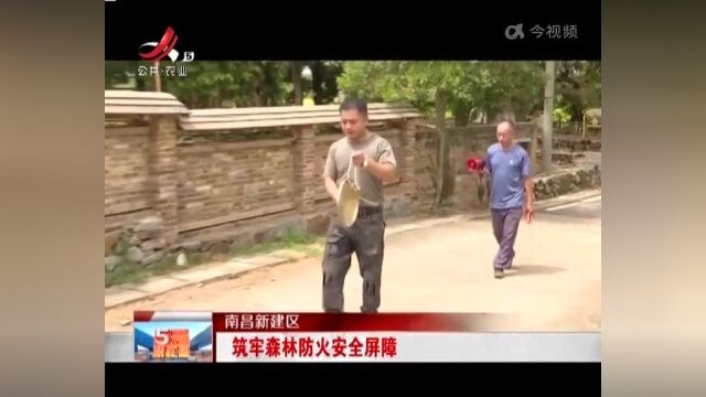 南昌新建区:筑牢森林防火安全屏障