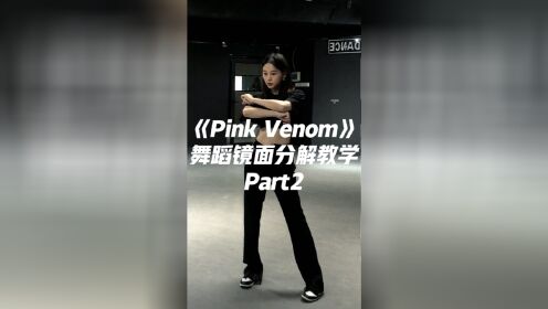 [图]BLACKPINK《Pink Venom》舞蹈镜面分解教学Part2