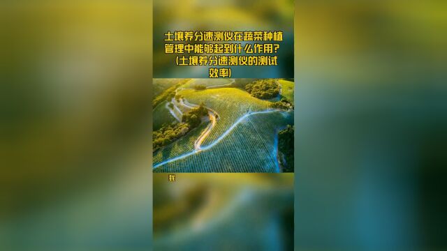 土壤养分速测仪在蔬菜种植管理中能够起到什么作用?( 土壤养分速测仪的测试效率)