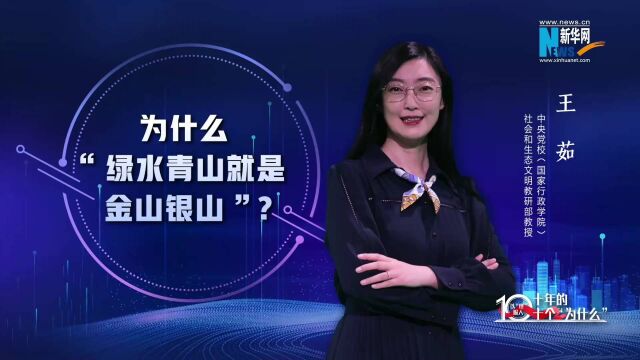 以“理”服人|为什么“绿水青山就是金山银山”?