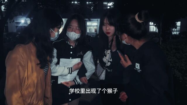 武汉大学不知名地下队(最新版)