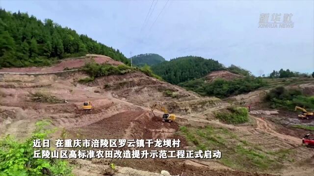 重庆:丘陵山区高标准农田改造启动 筑牢粮食生产基础