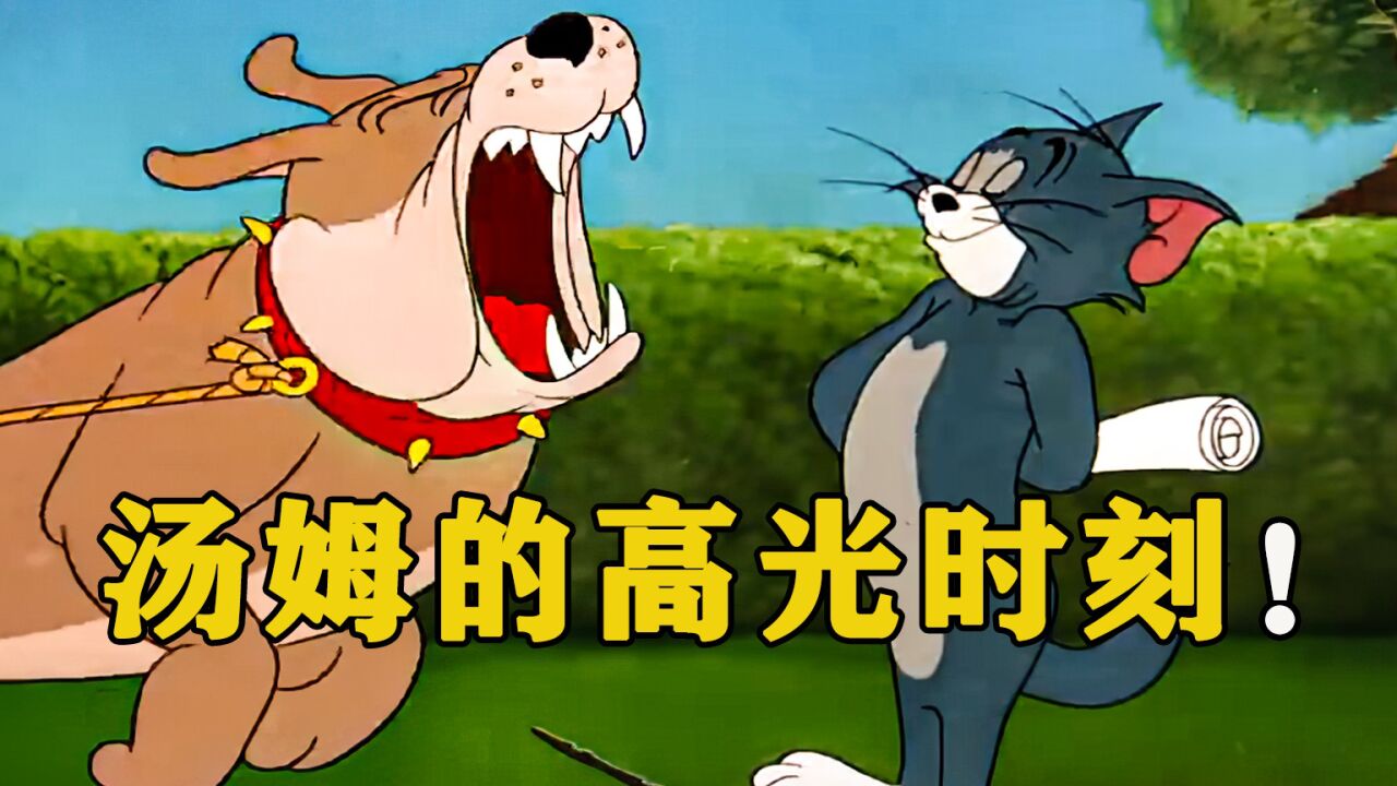 来自汤姆的高光时刻！_高清1080P在线观看平台_腾讯视频