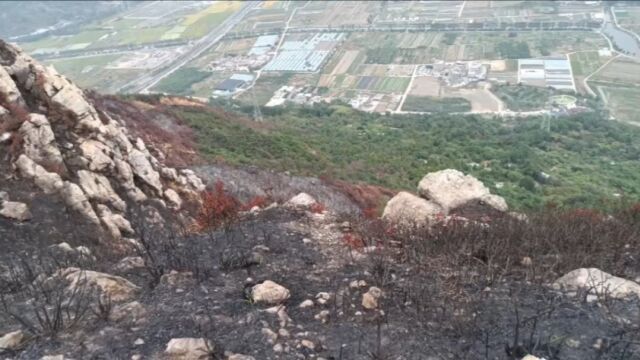 温州大罗山,待明年,春暖花开,万物复苏