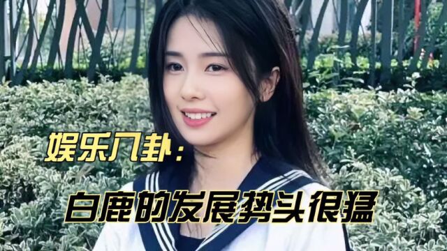 娱乐八卦,白鹿的发展势头很猛,老美人鱼对老公已经是放养状态