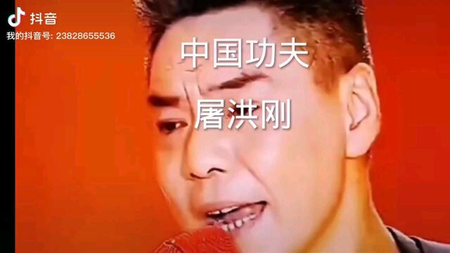 屠洪刚演唱的中国功夫太震撼了