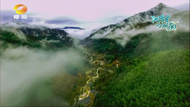 “沁甜”的湖南ⷮŠ龙山:甘露锶泉滚滚来