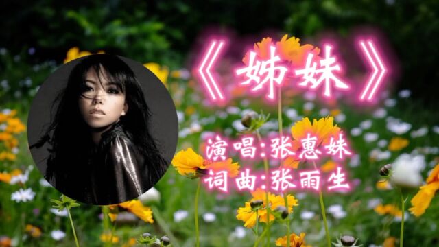 经典怀旧金曲!张惠妹成名曲《姊妹》,欢快节奏高亢嘹亮,让人如痴如醉!