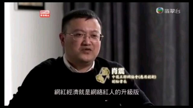 肖震教授点评网红经济