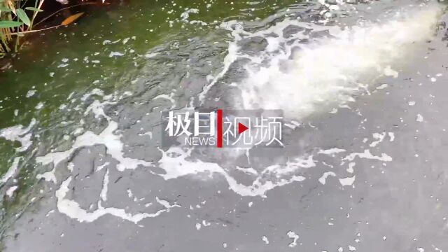 【视频】水流加速器让水活起来