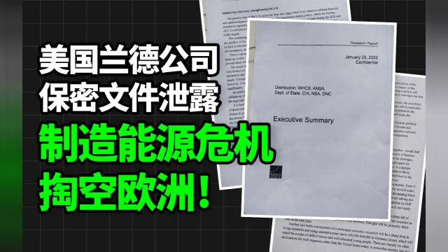 美国兰德公司保密文件泄露:人为制造能源危机,掏空并摧毁欧洲!