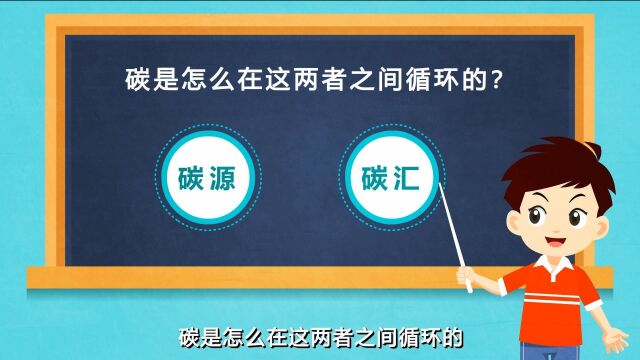 #青爱公益环保科普系列# 之020 碳源、碳汇是什么?碳又是怎么循环的呢?