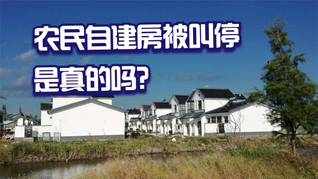 农民自建房为何会被叫停?2022年起,翻修也不行?别被误导了