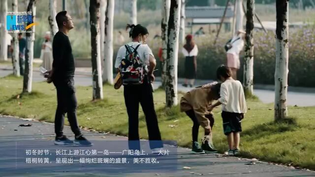 今日头条丨重庆昨日新增本土“89+192” 中心城区KTV舞厅等娱乐场所暂停营业