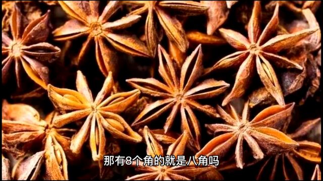 买八角分清直角与勾角,一个有毒一个无毒,千万别买错了