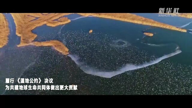 珍爱湿地凝共识 促进合作迎未来——写在《湿地公约》第十四届缔约方大会举办之际