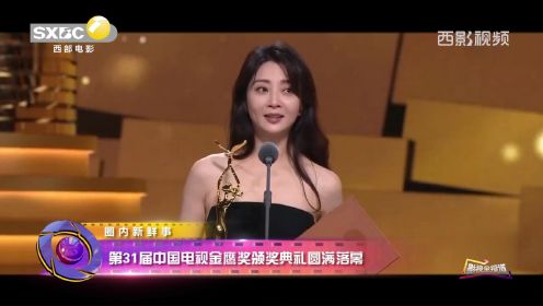 第31届中国电视金鹰奖颁奖典礼圆满落幕