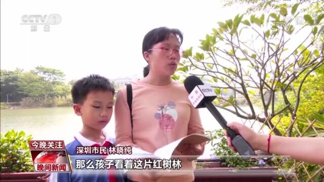 珍爱湿地!中国成为“国际湿地城市”最多的国家