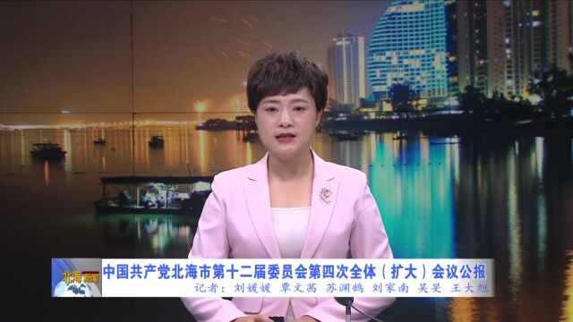 中国共产党北海市第十二届委员会第四次全体(扩大)会议公报