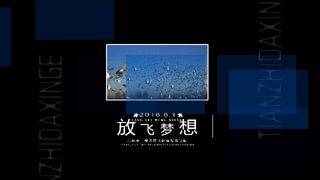 内蒙古金翔国际赛鸽公棚530公里决赛视频回顾