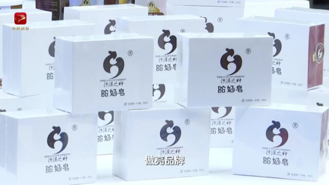 代钦:推进乡村振兴和农牧业产业化深度融合