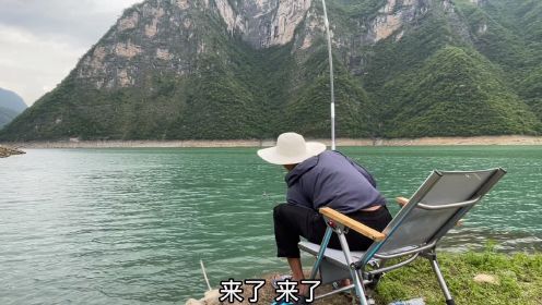 挑战连续野钓270天 第49天 开启台钓模式 手杆博大鱼