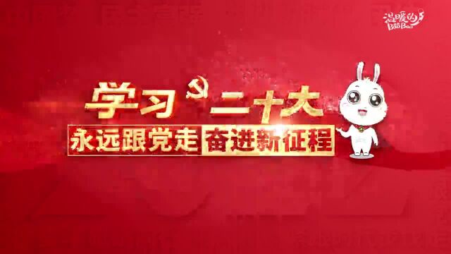 “京小团”与你同学党的二十大报告,“大会主题”是什么