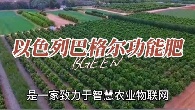 水溶肥功能肥品牌以色列巴格尔企业简介