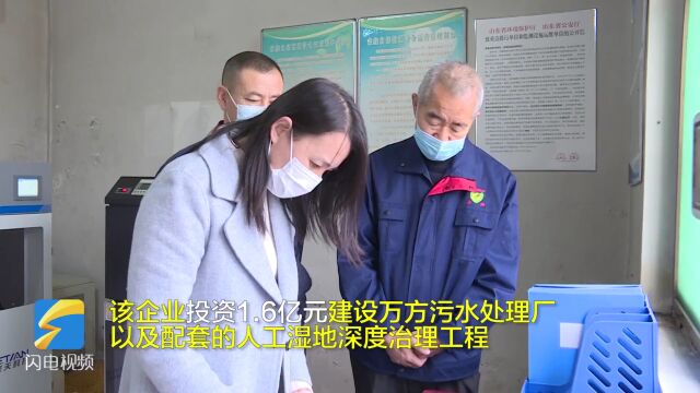 德州陵城:打好污染防治攻坚战,13家重点排污企业安装水质监测系统