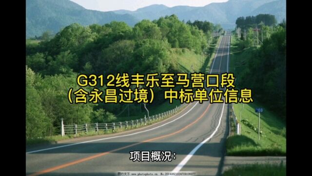 G312线丰乐至马营口段(含永昌过境)中标单位信息