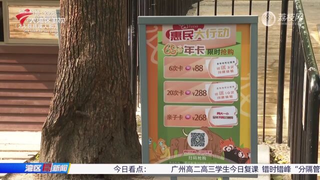 广州动物园首推惠民纪念卡 可看熊猫兄妹“世界杯”