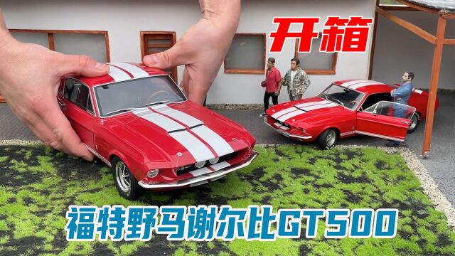 开箱福特野马谢尔比GT500