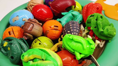 恐龙玩具变形蛋大集合 快来认识不一样的小恐龙吧