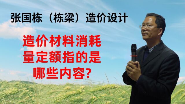 张国栋(栋梁)造价设计:造价材料消耗量定额指的是哪些内容