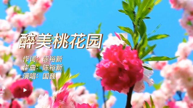 国巍醉美桃花园 KTV新歌推介