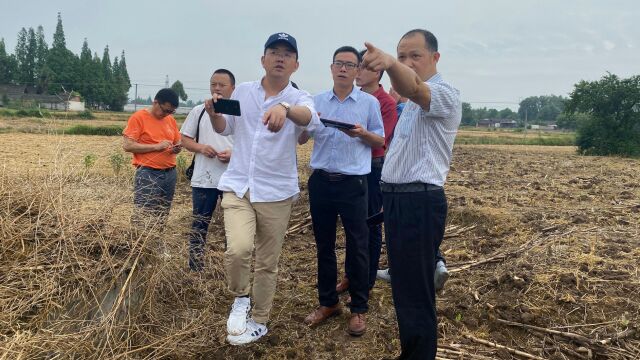 湖北荆州平原好风水,王君植风水大师弟子李金淼实地视频分享