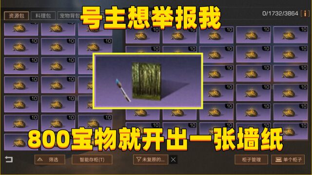 800个宝物就开出一个紫色墙纸,结果号主要举报我