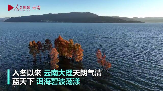 读景 | 24张美图 回放2022年彩云之南春夏秋冬