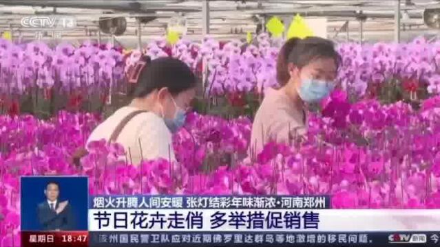 央视《共同关注》:郑州节日花卉走俏 多举措促销售