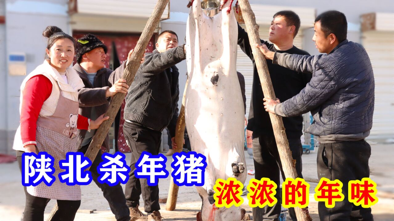 陕北农村杀年猪现场,40多人相聚一起吃杀猪菜,农村小院真热闹!