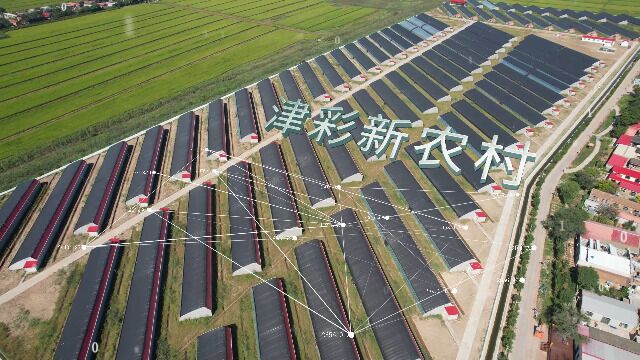 “发展红色文旅 带动集体经济”,天津市津南区八里台镇西小站村