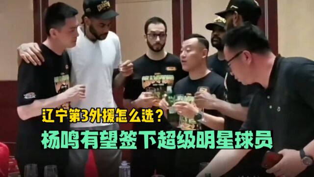 辽宁男篮第3外援怎么选?杨鸣以莫兰德为模板,有望签约超级明星