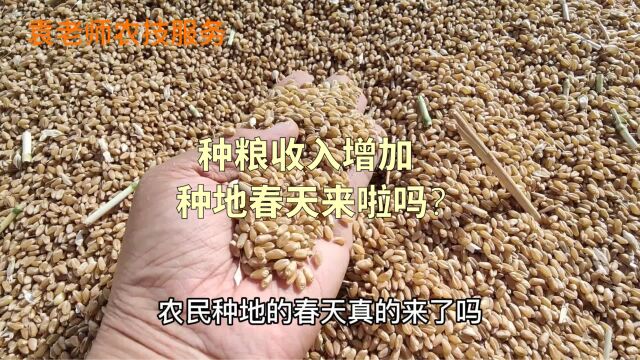 粮食价格上涨,种地收入增加,农民种地的春天来了吗