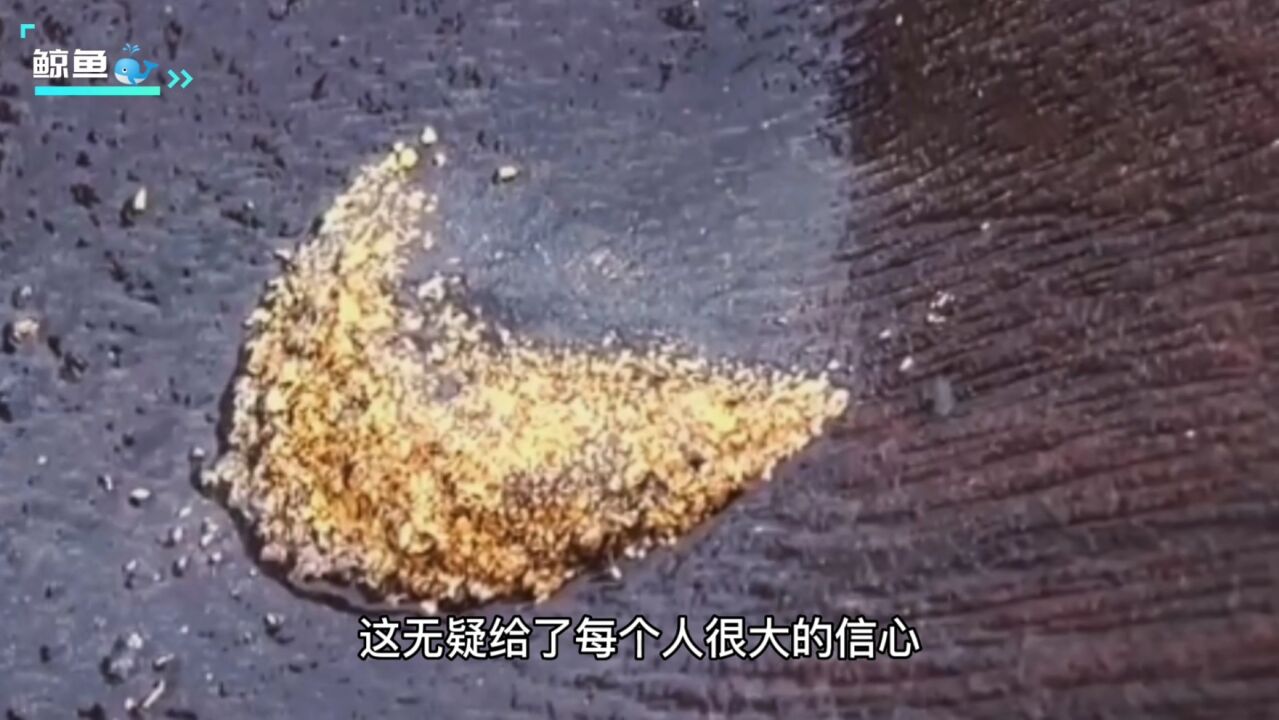 极限淘金水鬼，100秒带你沉浸式体验菲律宾淘金！淘金纪录片解说_高清1080P在线观看平台_腾讯视频